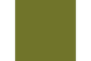 Camouflage green 17ml ⎮ 8429551720311 ⎮ VE_422963