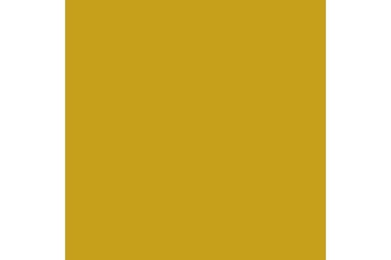 Polished gold 17ml ⎮ 8429551727556 ⎮ VE_452152