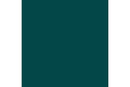 Scurvy green 17ml ⎮ 8429551720274 ⎮ VE_422959