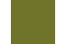 Camouflage green 17ml ⎮ 8429551720311 ⎮ VE_422963