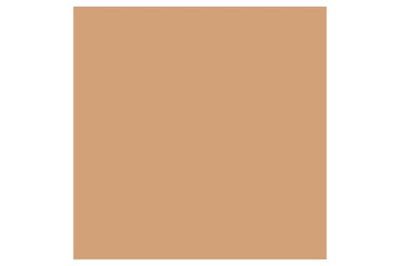 Brush Marker Cinnamon O427 ⎮ 884955042717 ⎮ VE_832162