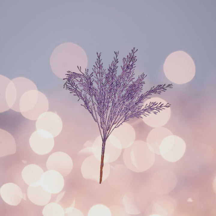 Zwischen Baumblütenzweigen - Lila