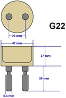 Philips MSR 700/2 1CT/8 – Professionel Metalhalogenpære (700 W)