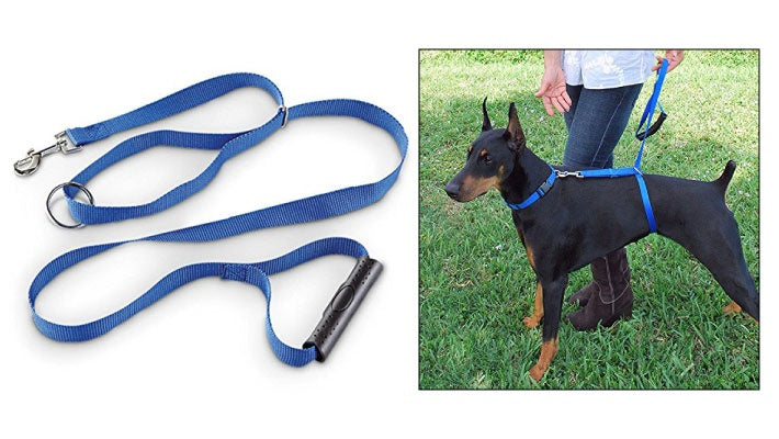 Instant Trainer Hundesnor (tilfældig farve)