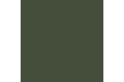 Luftwaffe cam. green mat 17ml ⎮ 8429551708234 ⎮ VE_422752 