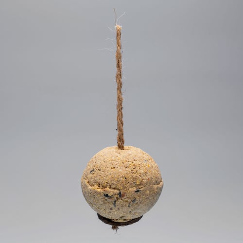 CARE-Bird XL Nutrition Ball