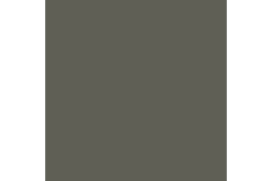 German fieldgrey WWII mat 17ml ⎮ 8429551708302 ⎮ VE_422759 