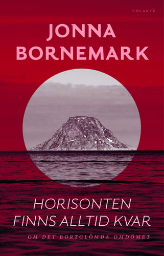 Horisonten finns alltid kvar : om det bortglömda omdömet 1 stk