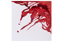Drawing Ink 14ml Brick Red 040 ⎮ 94376896367 ⎮ VE_832702 