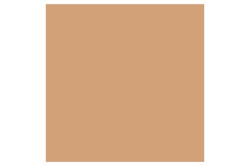 Promarker Cinnamon  O427 ⎮ 884955041338 ⎮ VE_832024 