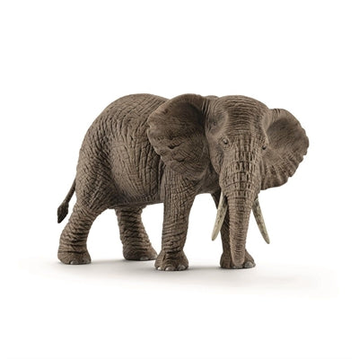 Sleich Afrikansk elefant hun