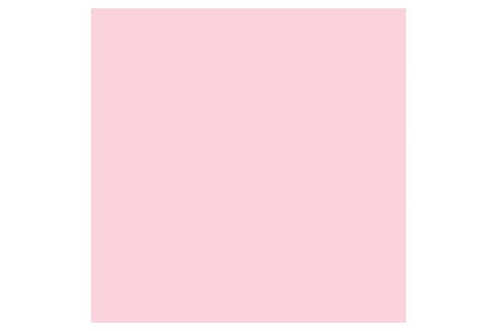 Promarker Pale Pink  R519 ⎮ 884955041963 ⎮ VE_832087 