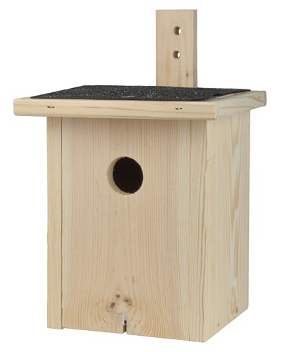 Care Bird fuglehus natur fyretræ ⎮ 5708787462312 ⎮ FS_000252 