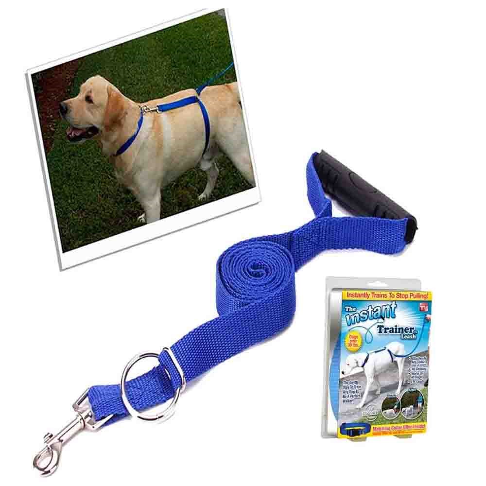 Instant Trainer Hundesnor (tilfældig farve)