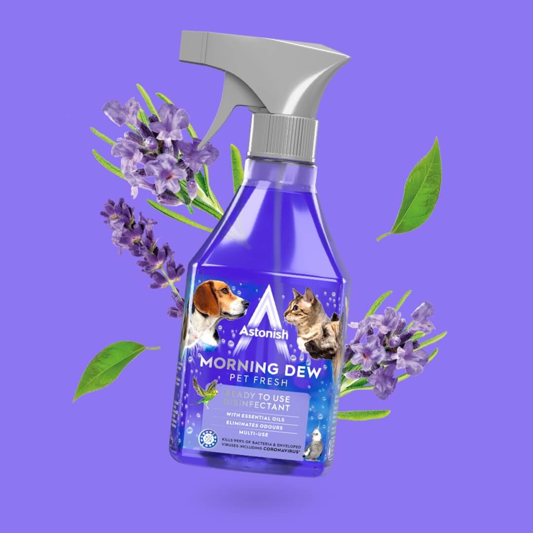 Astonish – Gebrauchsfertiges Desinfektionsspray Morning Dew 550 ml